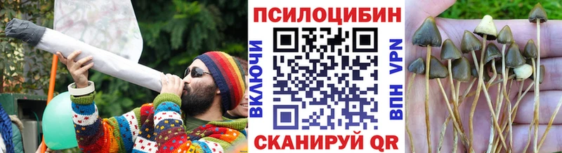 Псилоцибиновые грибы ЛСД  Покров 